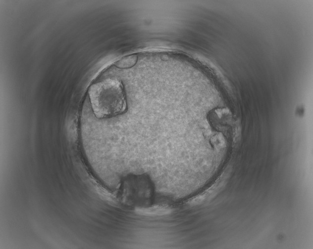 X0000116831409201001291633