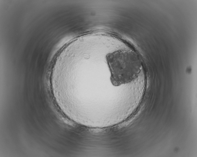 X0000116831410201001291633