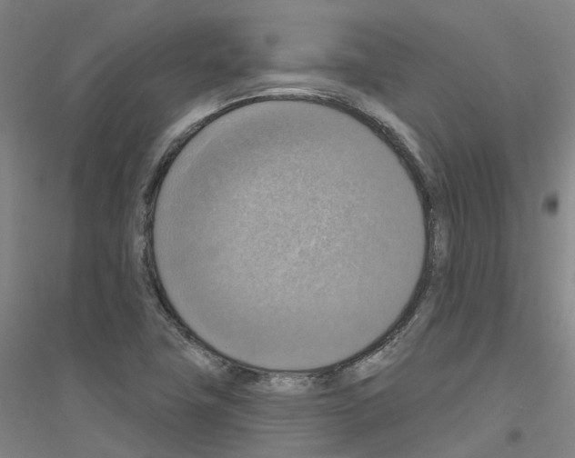 X0000116831411201001291633