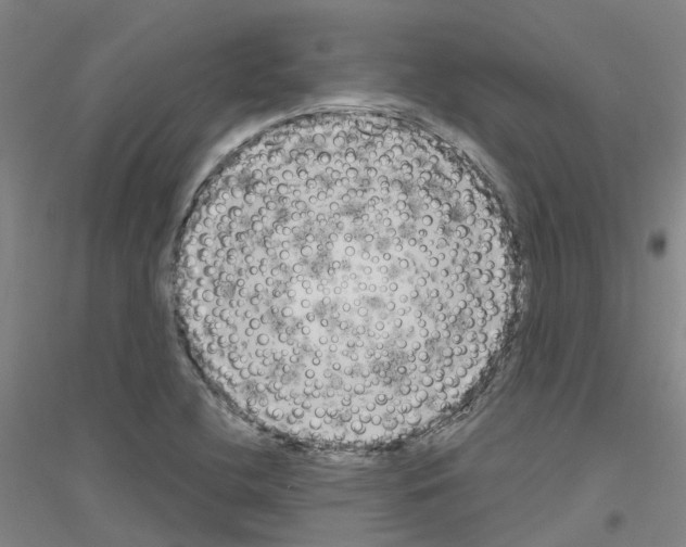 X0000116831412201001291633