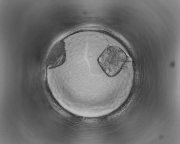 X0000116831413201001291633