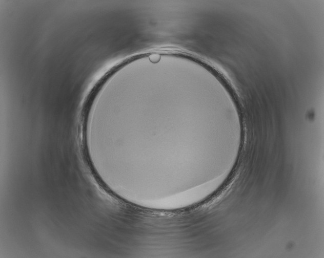 X0000116831414201001291633