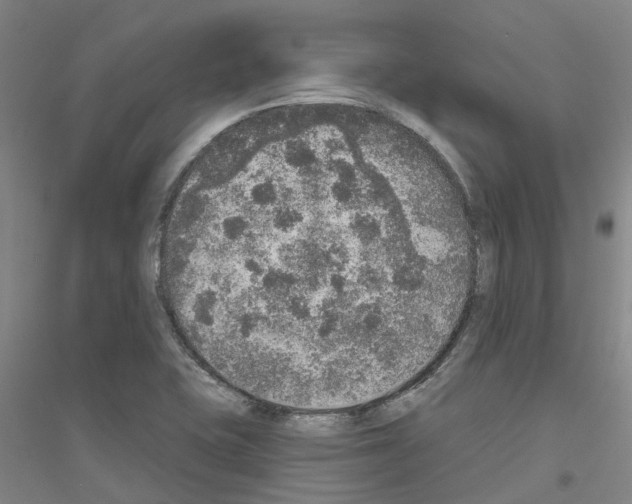 X0000116831415201001291633