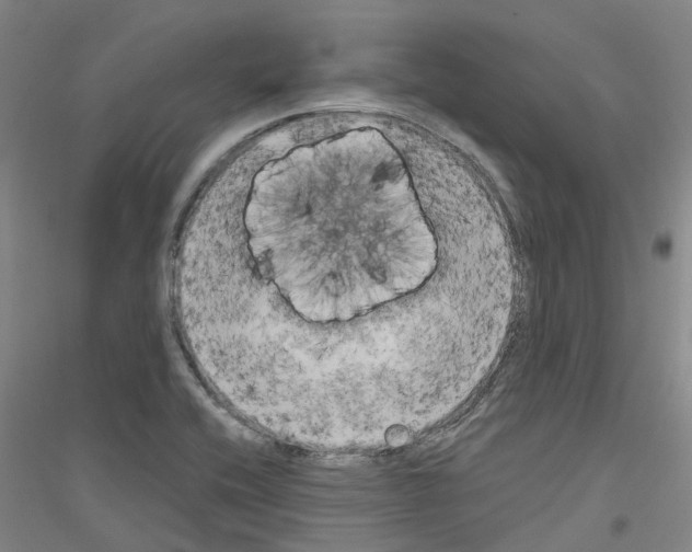 X0000116831416201001291633