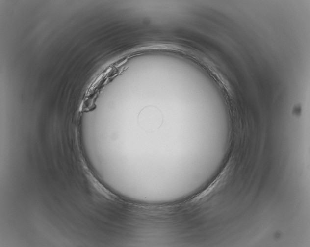 X0000116831417201001291633