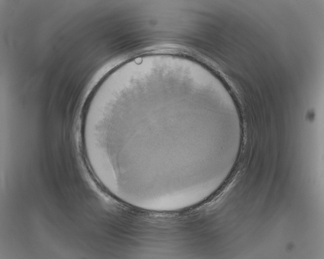 X0000116831418201001291633