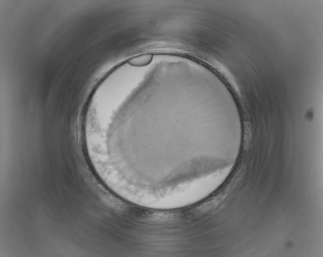 X0000116831419201001291633