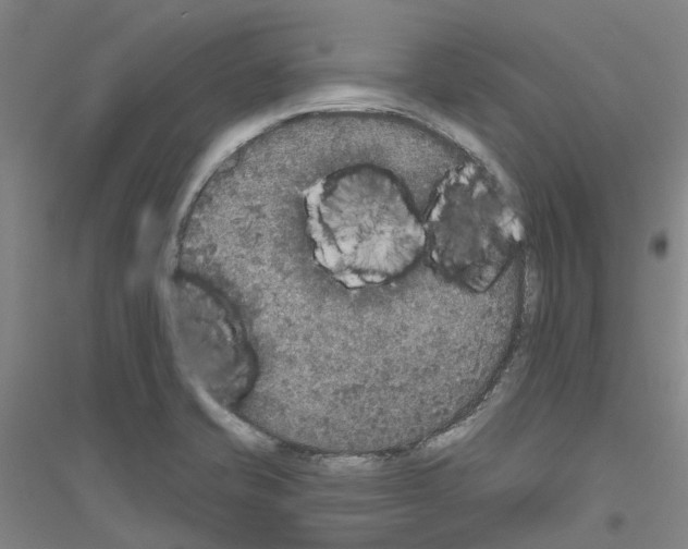 X0000116831421201001291633