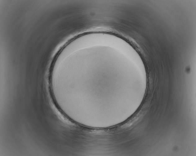 X0000116831422201001291633