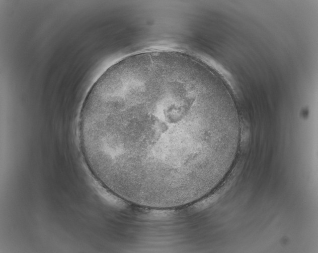 X0000116831423201001291634