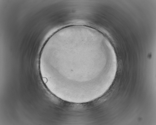 X0000116831424201001291634