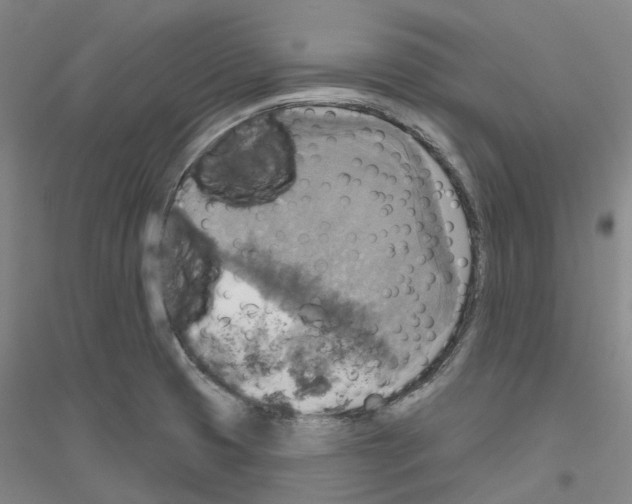 X0000116831425201001291634