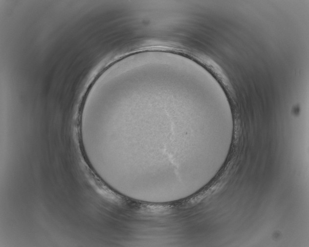 X0000116831427201001291634