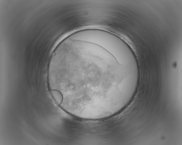 X0000116831428201001291634