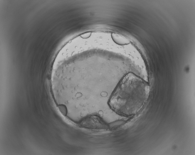 X0000116831429201001291634