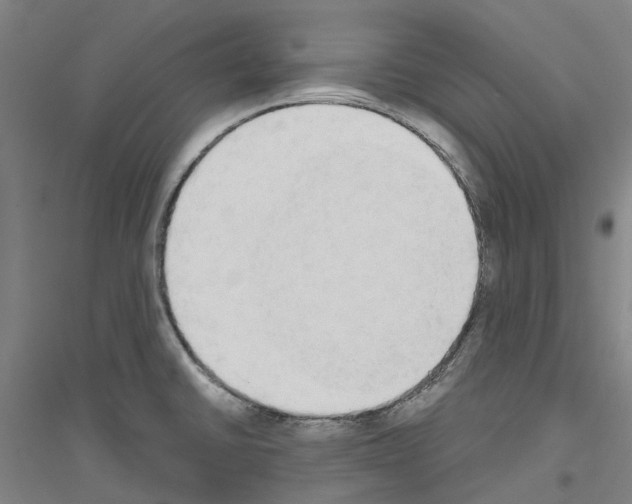 X0000116831430201001291634