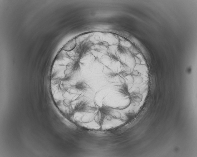 X0000116831432201001291634