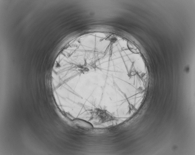 X0000116831433201001291634