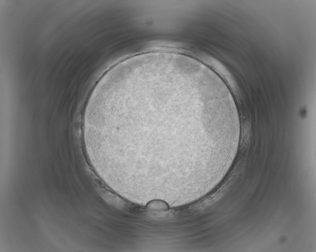 X0000116831435201001291634