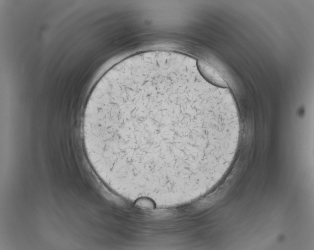 X0000116831436201001291634