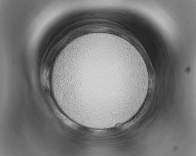 X0000116831439201001291634