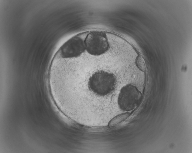 X0000116831440201001291634