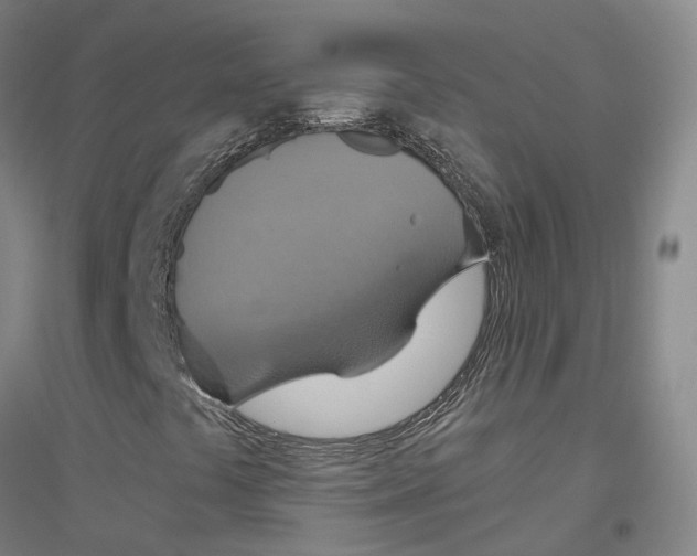 X0000116831441201001291633