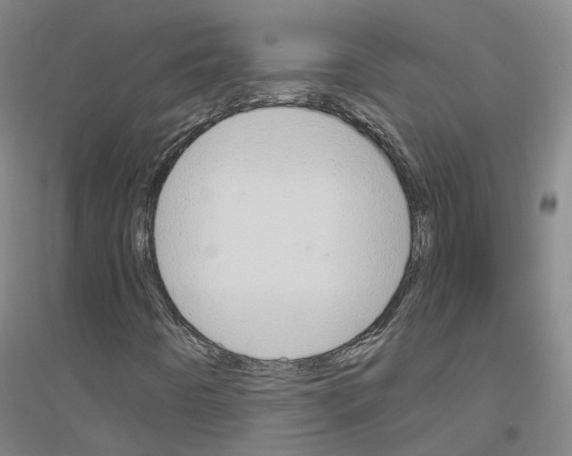 X0000116831442201001291633