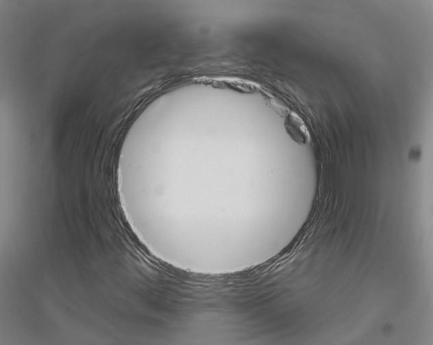 X0000116831444201001291633