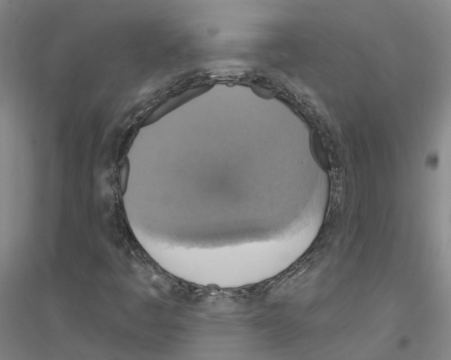 X0000116831445201001291633