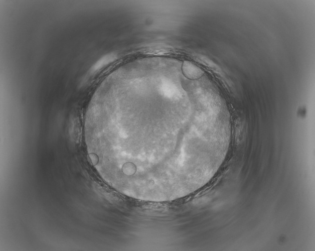 X0000116831446201001291633