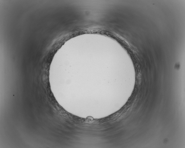 X0000116831447201001291633