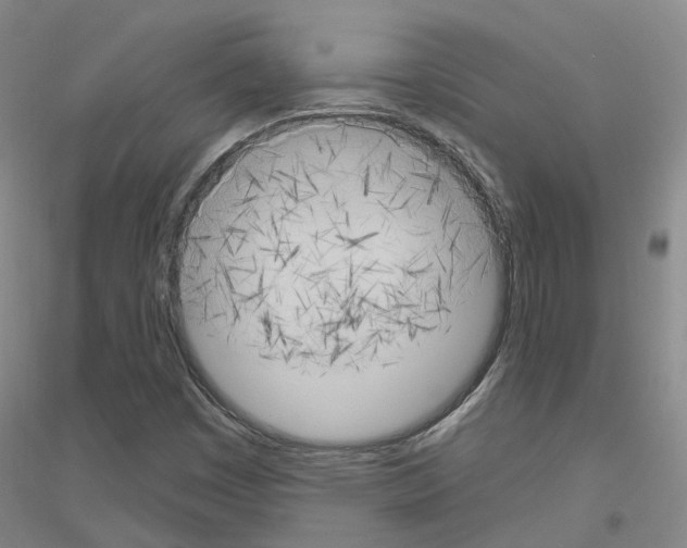 X0000116831449201001291633