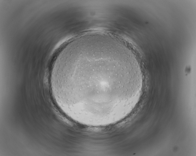 X0000116831450201001291633