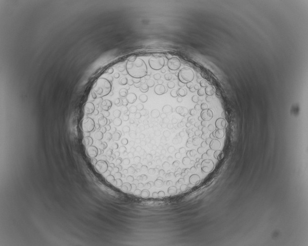 X0000116831451201001291633