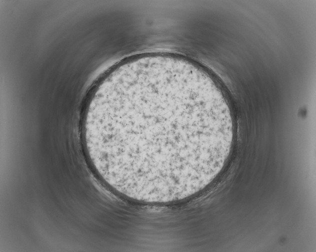 X0000116831452201001291633