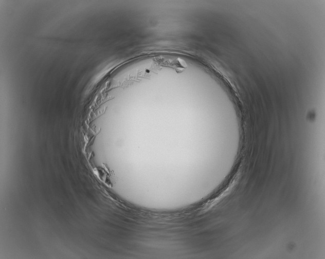 X0000116831453201001291633