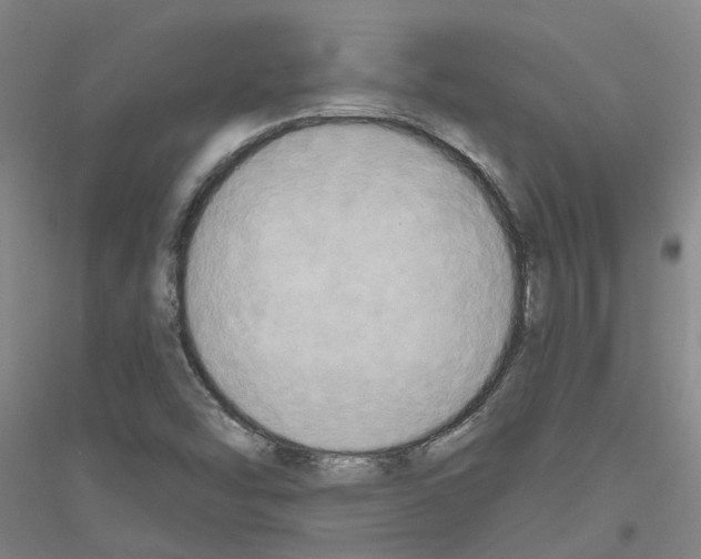 X0000116831454201001291633