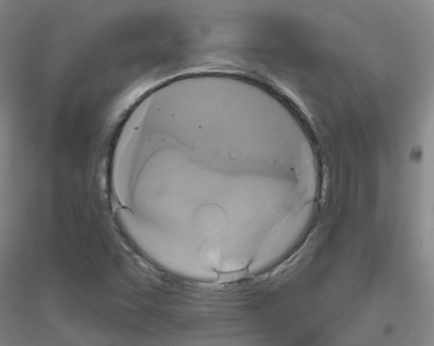 X0000116831455201001291633