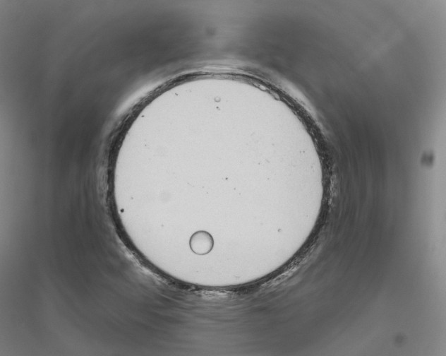 X0000116831456201001291633