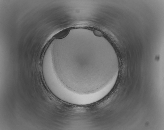 X0000116831457201001291633