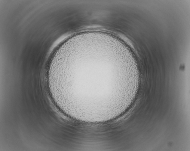 X0000116831458201001291633