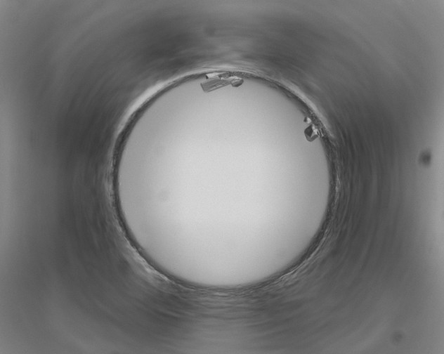 X0000116831460201001291633