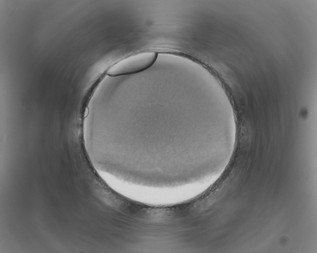 X0000116831461201001291633