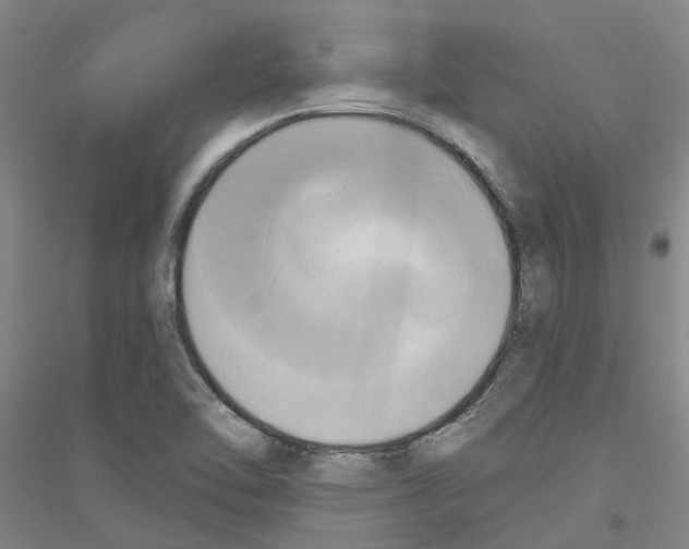 X0000116831462201001291633