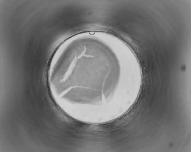 X0000116831463201001291633