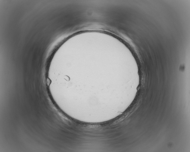 X0000116831464201001291633