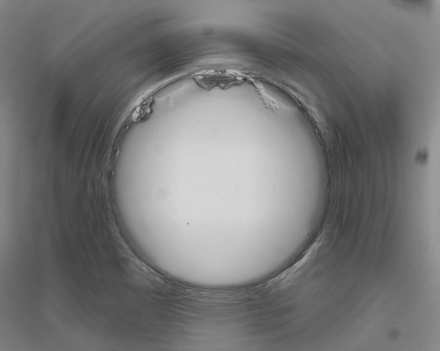 X0000116831465201001291633