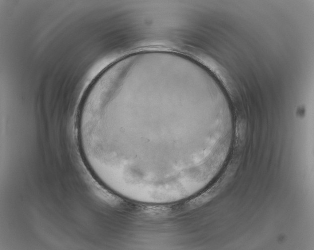 X0000116831466201001291633