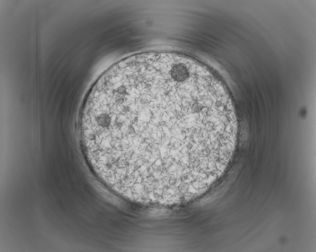 X0000116831467201001291633